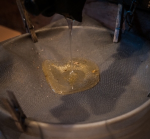 Our honey starts to flow out of the extractor