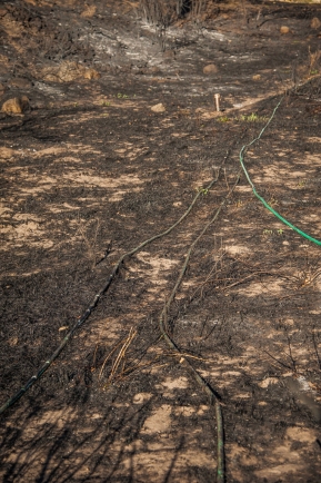 A new hose to replace the burnt hoses going to the vegetable garden and fruit trees.