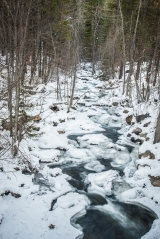 This is the creek downstream from the falls at the road.