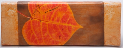 aspen leaf wax